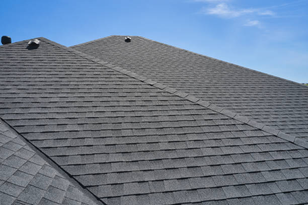 Best Roof Coating and Sealing  in Fairfax, MN